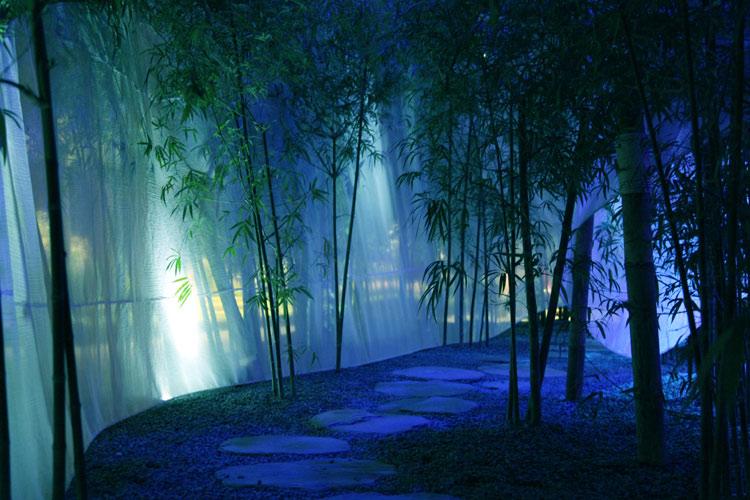春雨直播app